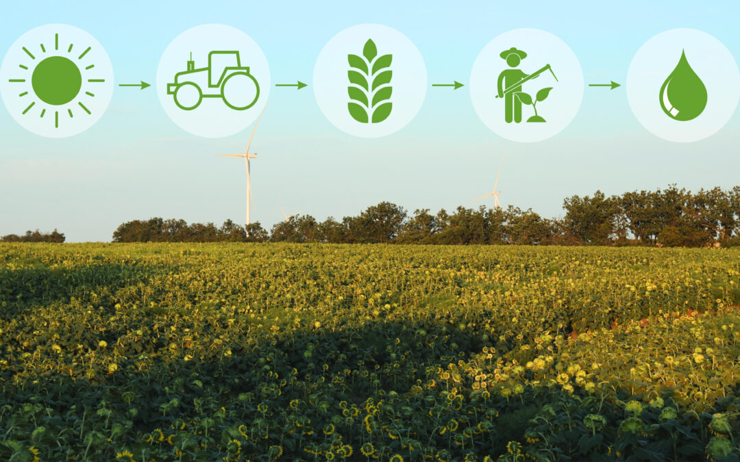 Towards the GREENSMARTMED event on Agrifood in Greece: the food manufactury in Lombardy Region, Italy