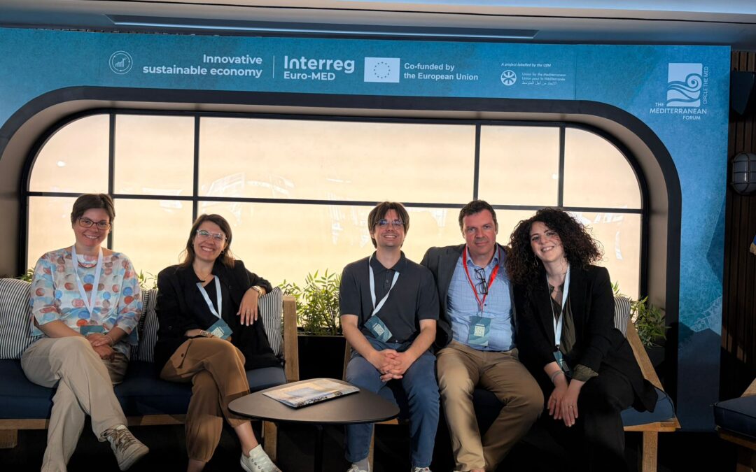 Strengthening Synergies Through Euro-MED Thematic and Mission-Based Collaboration – PART 2.